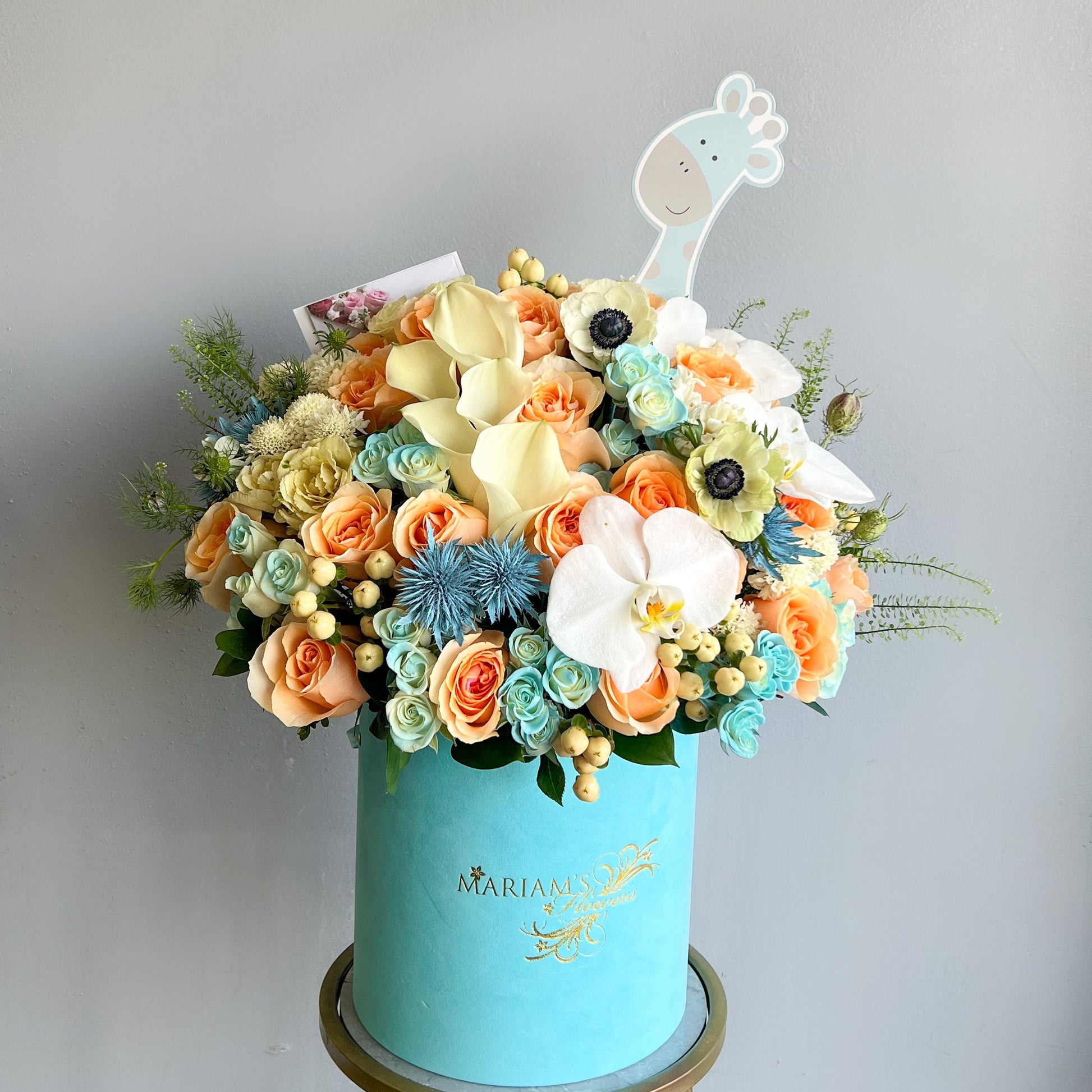 A blue box featuring flowers and a giraffe, representing 'Baby Boy Bliss.'