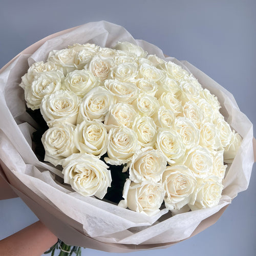 A hand presents a wrapped bouquet of 50 white roses, highlighting their elegance and simplicity without any filler